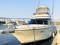 【東京湾・海老取川】2時間〜8時間まで選べる！シーバス・アジ狙いなら「PLAYFUL FISHING」【2026年冬最新】