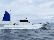 【2026年2月最新】館山・洲崎「赤沼丸」で冬イカ＆五目釣り！釣果好調ポイント徹底ガイド