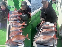 【釣果速報】神奈川県あまさけや丸で全員が本命の真鯛をキャッチ！今が絶好のチャンスです！