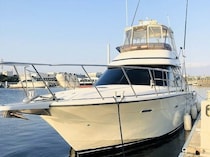 【東京湾・海老取川】2時間〜8時間まで選べる！シーバス・アジ狙いなら「PLAYFUL FISHING」【2026年冬最新】