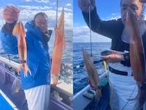 【釣果速報】茨城県日立丸でヤリイカ＆スルメイカ好調！ヤリイカ最大41cm&スルメイカ最大45cm！このチャンスを絶対逃すな！