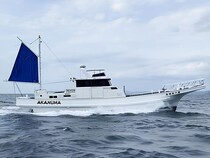 【2026年2月最新】館山・洲崎「赤沼丸」で冬イカ＆五目釣り！釣果好調ポイント徹底ガイド