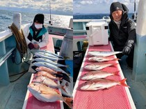 【釣果速報】神奈川県正海丸で人気のマダイとイナダ好調！好調な今、絶対乗るべき！