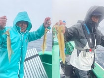 【釣果速報】茨城県長岡丸でヤリイカ釣行が好調！最大50cm！冬の絶品ヤリイカを自分の手で釣り上げてみませんか？