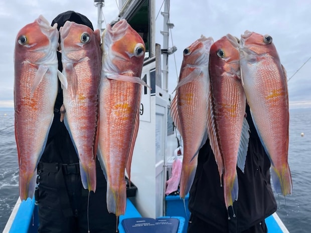 【釣果速報】茨城県ことぶき丸で人気のアマダイ・マダイ・ウッカリカサゴなどGET!好調な今、絶対乗るべき!