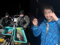 【釣果速報】静岡県伊勝丸でマルイカ一日好調！50匹前後の好釣果を出す釣り客多数！あなたも記録更新を狙ってみませんか？
