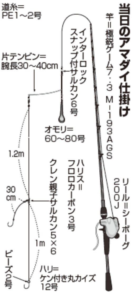 当日のアマダイ仕掛け