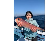 【釣果速報】神奈川県愛正丸でアマダイの食い良好！トップは42cm！デカアマの引きを存分に楽しみたいなら即予約を！