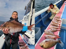 【釣果速報】マダイ＆クロダイでクーラーボックスがパンパン！神奈川県成銀丸で量・型ともに大満足の釣行に出かけよう！