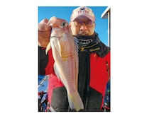 50cmオーバーの大型＋シロアマダイも！相模湾のアマダイ佳境