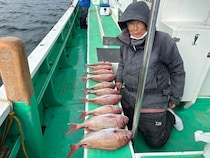 【釣果速報】神奈川県大松丸で人気魚マダイが大ヒット！釣り人が憧れるターゲットをその手でゲットせよ！