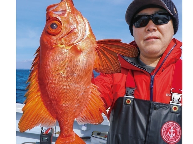 湾奥から湾口までプチ遠征　何が釣れるかお楽しみ　ライトウイリー五目