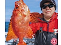 湾奥から湾口までプチ遠征　何が釣れるかお楽しみ　ライトウイリー五目