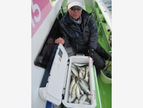 【釣果速報】神奈川県長崎屋でアジ・クロダイ・サバGET！アジTOP111匹！好調な今、自己最高記録を狙ってみませんか？