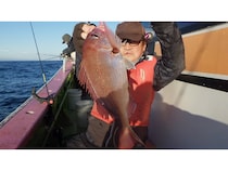 【釣果速報】新潟県光洋丸のディープタイラバ船は朝イチから好調！数も型も楽しめる大満足の釣行に！大物狙うなら今すぐ乗船して！