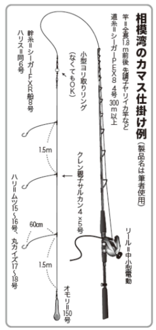 相模湾のカマス仕掛け例