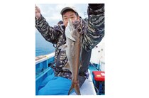 本命のクロムツは高位安定 ライト深海根魚五目