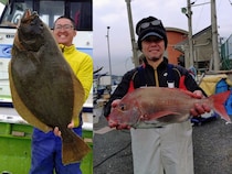 【釣果速報】神奈川県愛正丸でヒラメ好調！7.20kgのどっしりサイズ上がる！大物を仕留めるためのアドバイスを船長から聞いてみた！