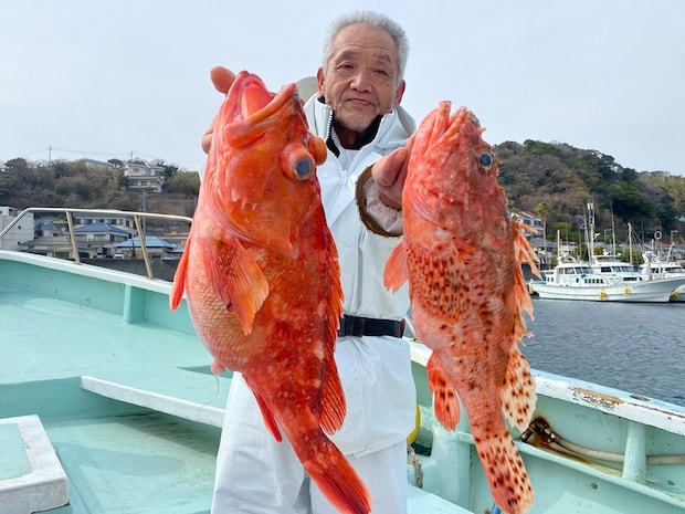 【釣果速報】超高級魚のオニカサゴ・カンコをGET！カンコはなんと12匹も！静岡県久寿丸の釣り物はどれも高価で美味と大好評！