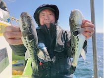 【釣果速報】千葉県利八丸でトラフグが快釣！サイズも最大2.30kgと釣りごたえバッチリ！週末はデカフグを狙いに行きませんか？