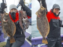 【釣果速報】千葉県春栄丸でマハタ絶好調！ヒラメもキャッチ！根魚獲るならすぐに乗船を！