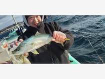 【釣果速報】神奈川県かりゆし丸でイナダ・アジ・ホウボウ・ハナダイと人気魚種続々ゲット！いろいろな魚との出会いを楽しみたい人は即予約を！