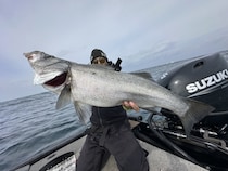 【釣果速報】福岡県遊漁船MASAで80cmのヒラスズキGET！あなたも今すぐ自己最高記録を更新しに行こう！