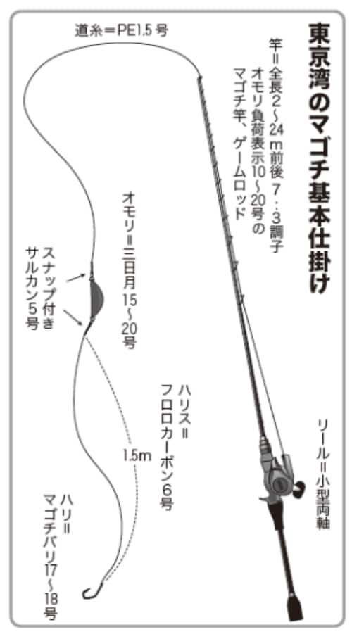 東京湾のマゴチ基本仕掛け