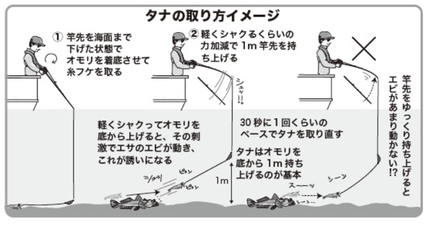 タナの取り方イメージ