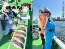 【釣果速報】神奈川県網屋丸でマダイ・ハナダイ好調！ボウズなし！この勢いに今すぐ乗ろう！