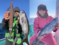 【釣果速報】クロムツ・メダイ・ハチビキなど豪華魚種揃う！千葉県第三新生合同丸ならお土産確保間違いなし！