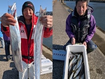 【釣果速報】千葉県フィッシュオン大勝でアジ・タチウオ・クロダイ・サバと人気魚種続々ゲット！いろいろな魚との出会いを楽しみたい人は即予約を！