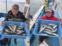 【釣果速報】良型アジ続々ヒットでお土産いっぱい！あなたも神奈川県ちがさき丸で食べ頃サイズを狙おう！