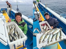 【釣果速報】神奈川県成銀丸でマアジが絶好調！クーラーボックスがパンパンに！今後の釣行も期待大！