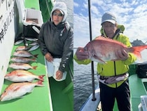 【釣果速報】神奈川県網屋丸でマダイ好調！その他混じりで全員お土産ゲット！好調なうちに海に繰り出そう！