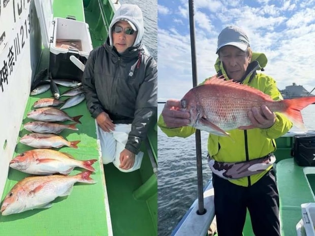 【釣果速報】神奈川県網屋丸でマダイ好調！その他混じりで全員お土産ゲット！好調なうちに海に繰り出そう！