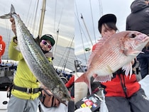 【釣果速報】千葉県Friend☆Shipでマダイゲット！サワラ・タチウオ・トラフグも釣れて好調！この勢いに乗らなきゃ損！