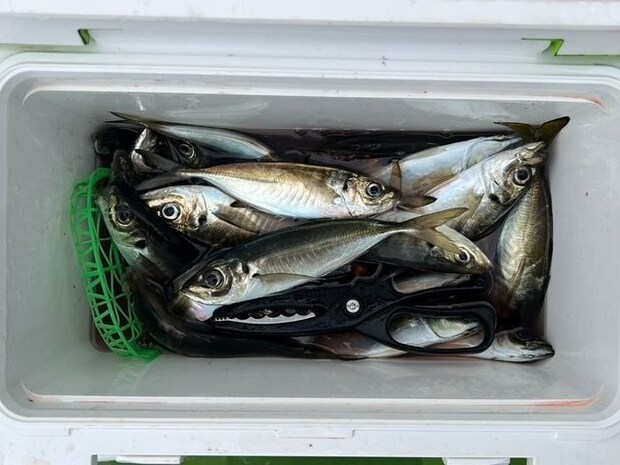 釣果