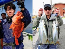 【釣果速報】アジTOP39匹GET！神奈川県愛正丸のアジはサイズ・数ともに期待大！