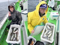 【釣果速報】神奈川県ちがさき丸でアジ連続ヒット！30cm超えの大型も！？好調な今が釣行の狙い目！