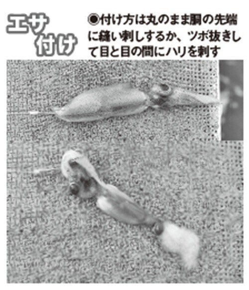 エサ付けの写真