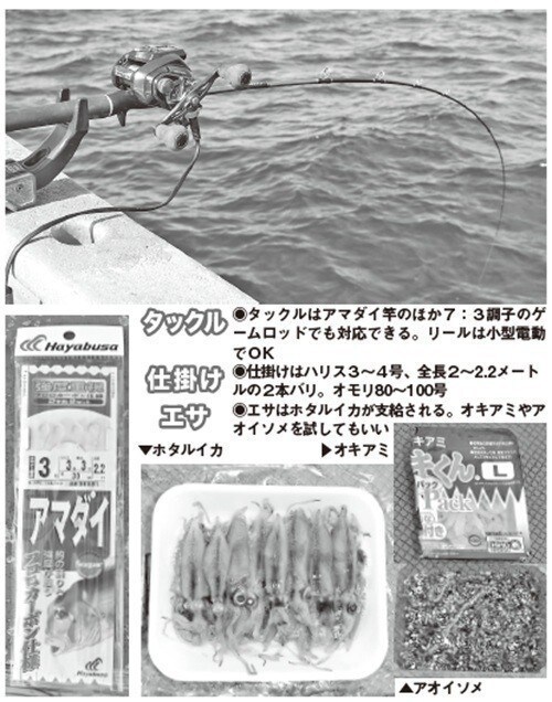 タックル・仕掛け・エサの写真