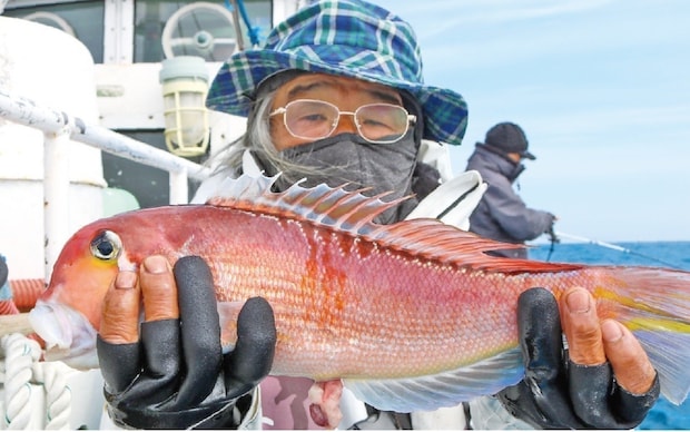 良型主体で食い活発！日立沖のアマダイ好調