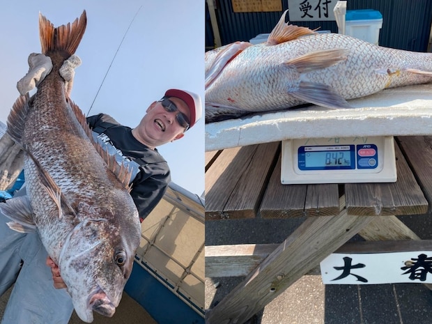 【釣果速報】茨城県大春丸で驚異の8.42kgマダイゲット!自己最高記録の大鯛を狙うなら大春丸に乗船しよう!