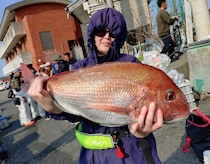 【釣果速報】神奈川県愛正丸で4.70kgのマダイをゲット！大型マダイを狙いたいなら今がチャンス！