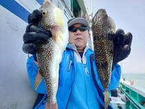 【釣果速報】千葉県利永丸でショウサイフグ・トラフグが絶好調！フグ三昧しませんか？