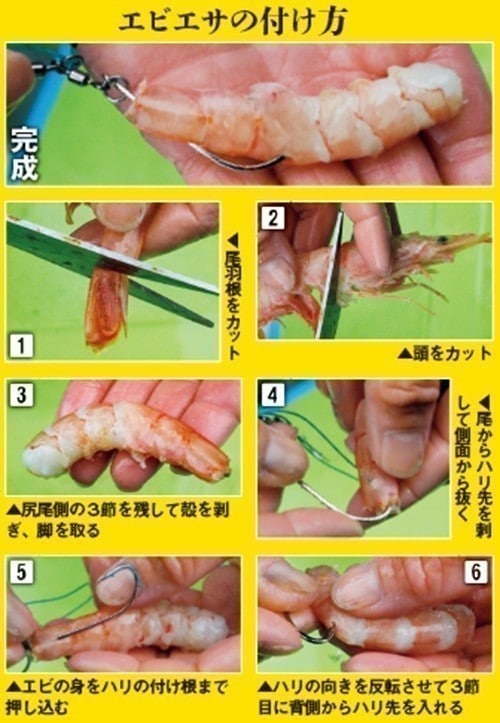 エサの付け方の写真