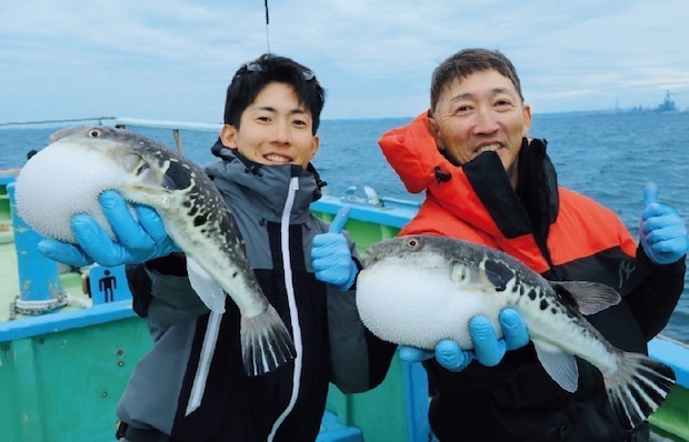 Xデーへのカウントダウン 東京湾のトラフグ拡大中!