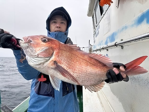 【釣果速報】雨風をものともせずマダイのヒットが連発!新潟県なかくに丸の釣行でクーラーボックスを人気魚種でいっぱいにしよう!