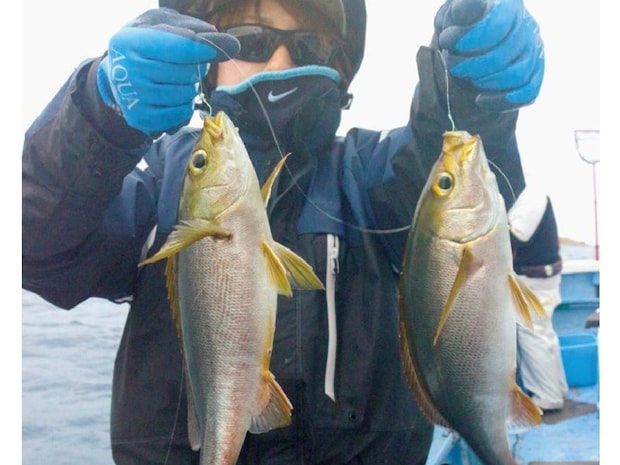 待ってました大イサキ! 洲ノ崎沖で快釣スタート